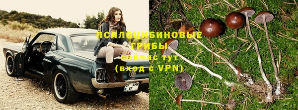прущий лед Белоозёрский