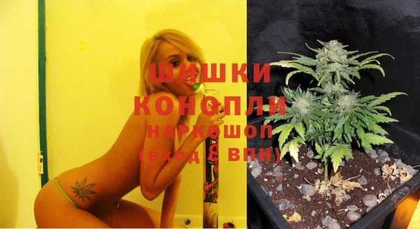 гидра Снежинск