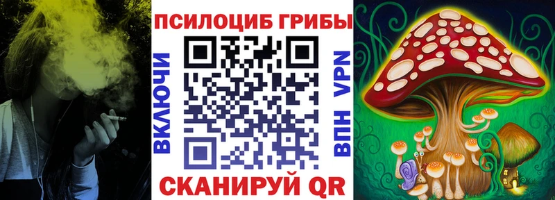 OMG ССЫЛКА  Михайлов  Псилоцибиновые грибы MAGIC MUSHROOMS 