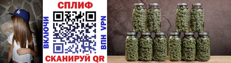 Каннабис SATIVA & INDICA Михайлов